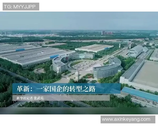 杭州乒乓球队快攻革新之路探秘与技术分析