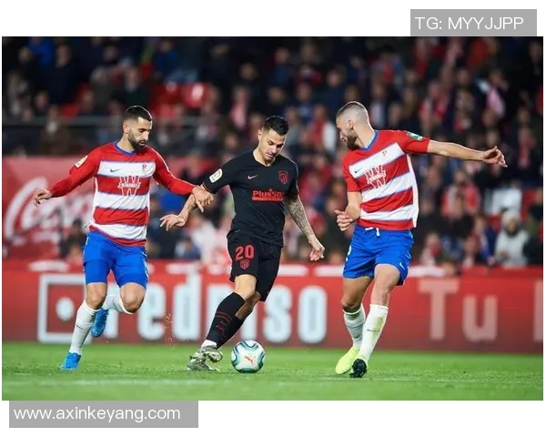 西甲低级别联赛怎么：了解西甲低级别联赛的结构与参赛规则