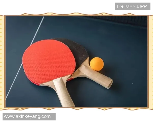 上海乒乓球队区域防守策略解析与战术优势探讨